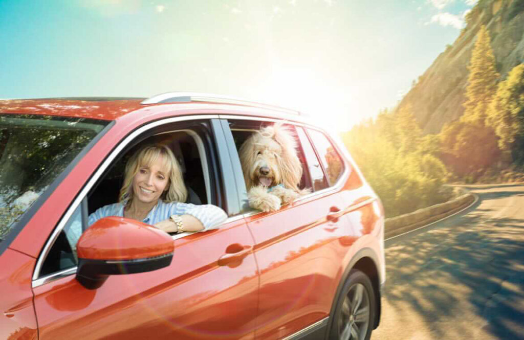 Zesty Paws Ad
